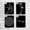 Artwork Laser Engraved Acrylic Eurorack Panels 1.5mm / Eurorack Panels For Filling Gaps / Any Size HP / Blank Eurorack Panels